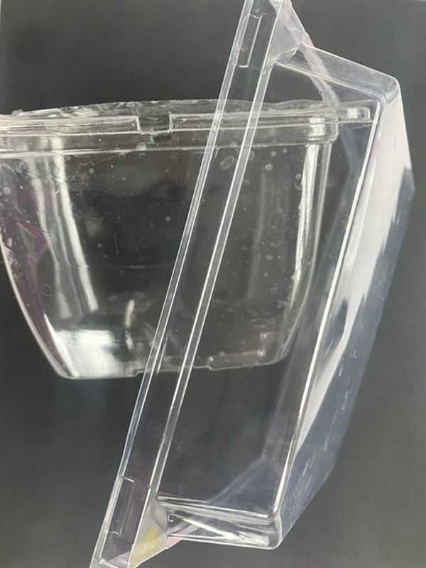 Clear plastic container with detached lid