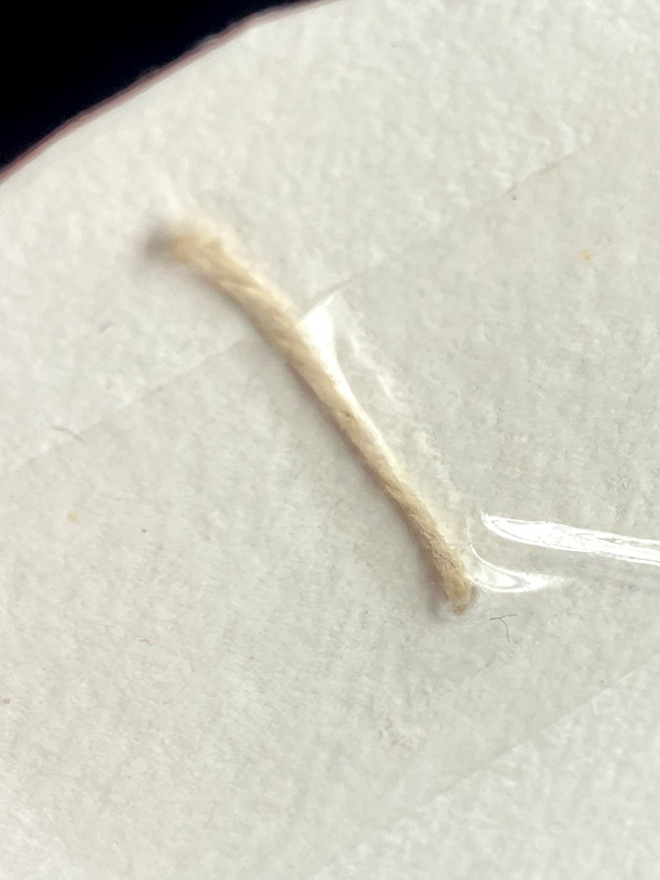 Small beige fibre taped to white surface
