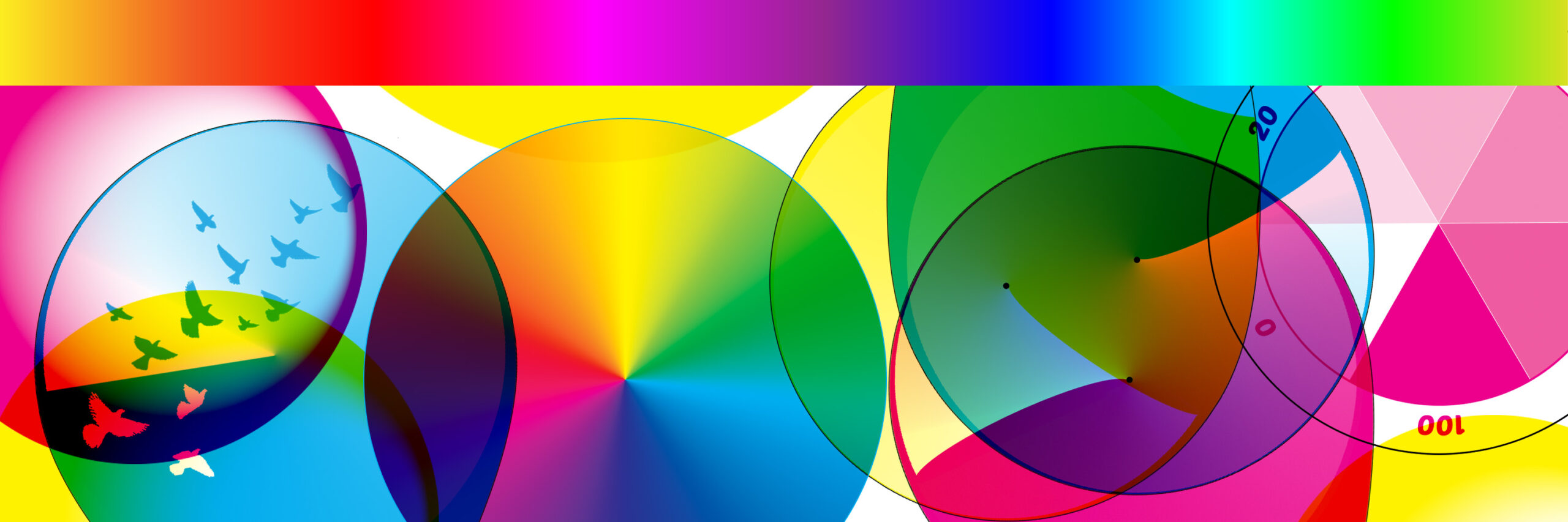 Colourful abstract circles with flying birds