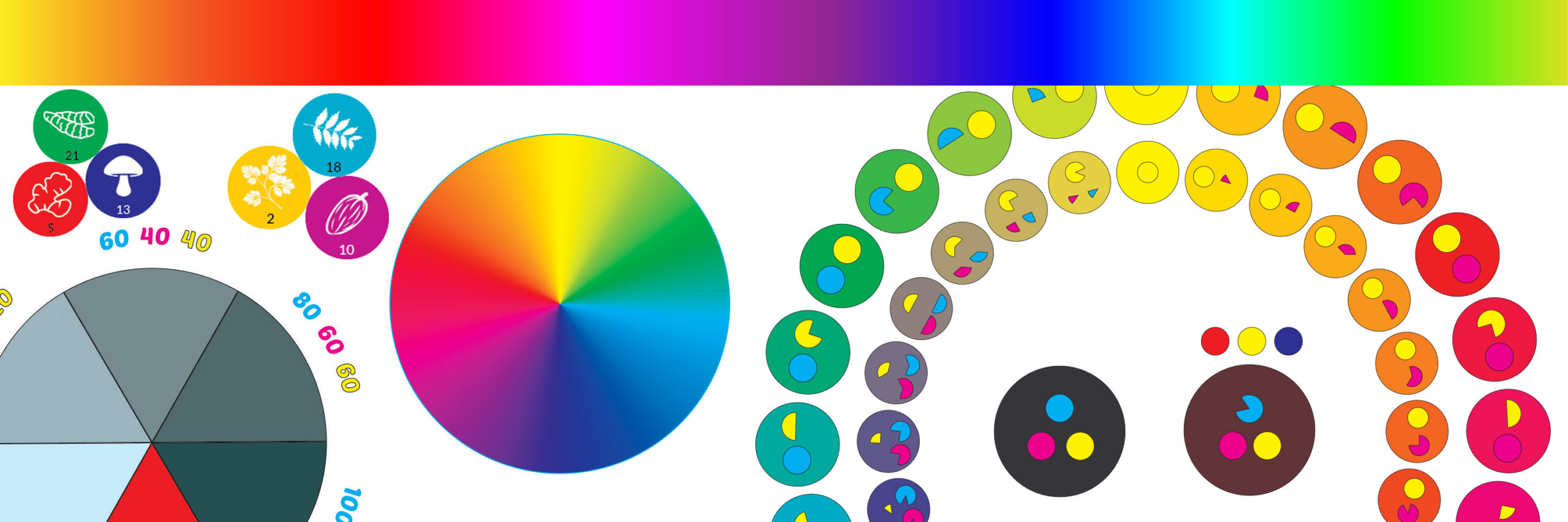 Colour wheel and food icon design