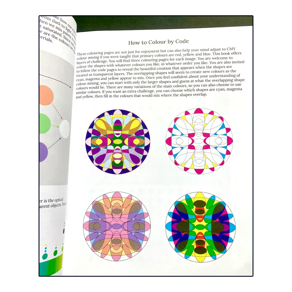 Colour-by-code book page with circular designs
