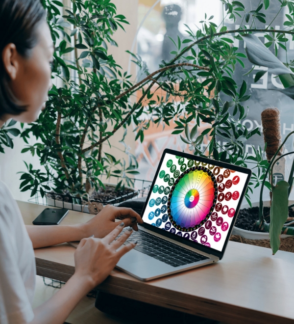 Fusion Wheel Burst PDF - Image 2