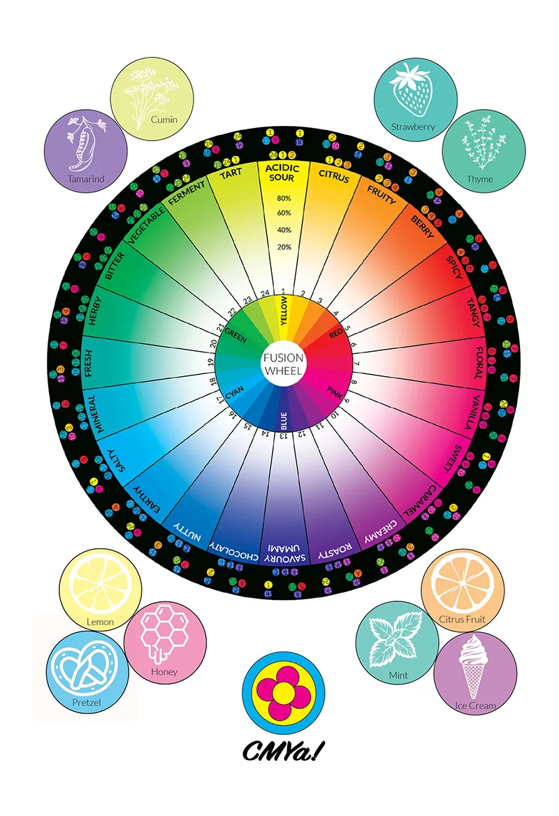 Colourful flavour fusion wheel diagram